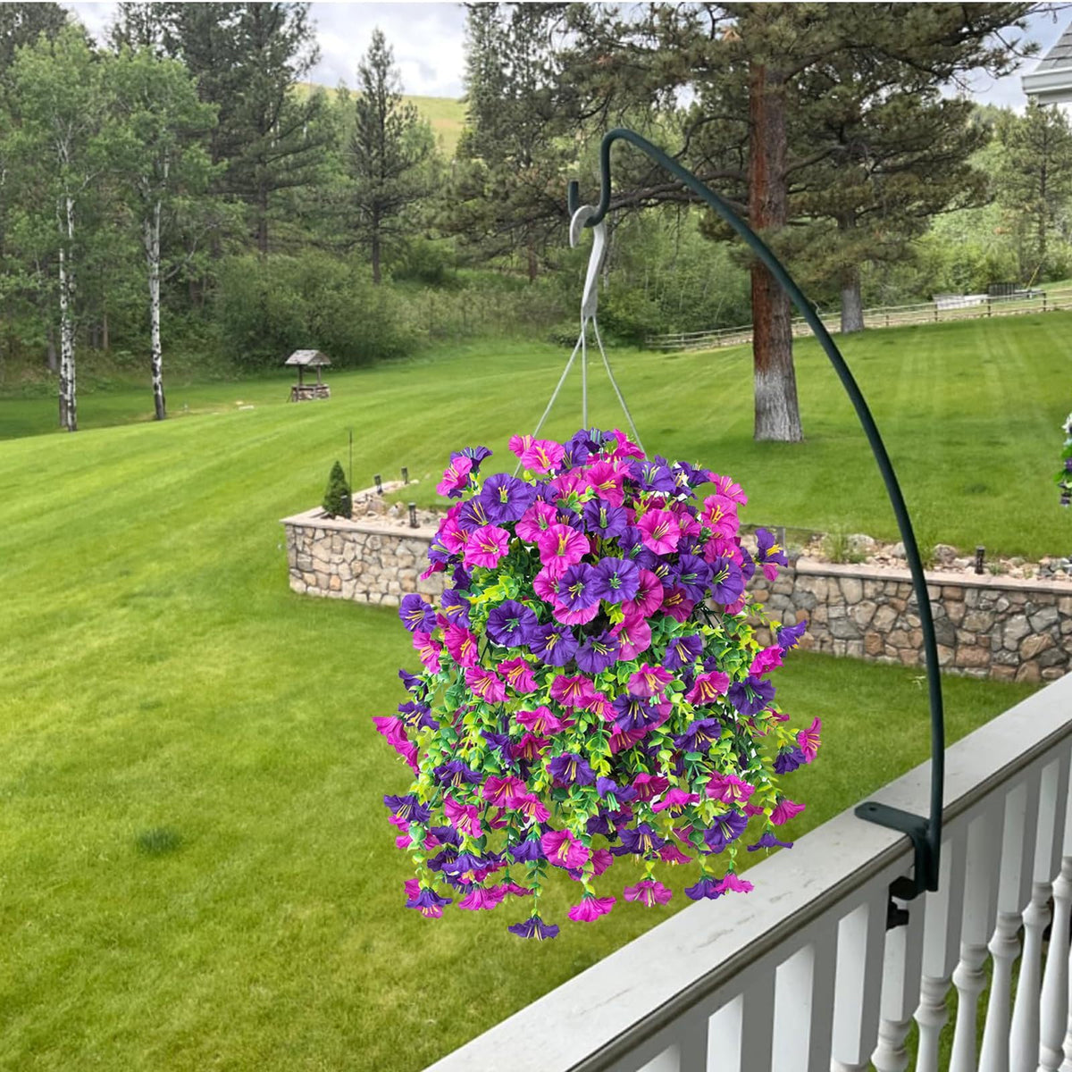 Generic morning glory 6-bunches complete set for fuller displays.
