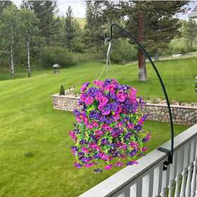 Generic morning glory 6-bunches complete set for fuller displays.