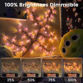 Generic remote control LED wall lights for easy ambience control