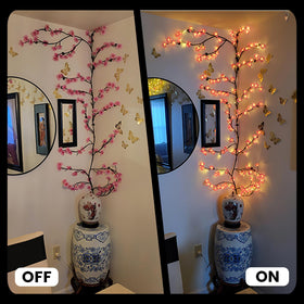 Generic USB powered wall lights for simple setup