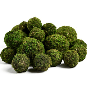 Generic Usmola 2inch moss ball for versatile vase accents