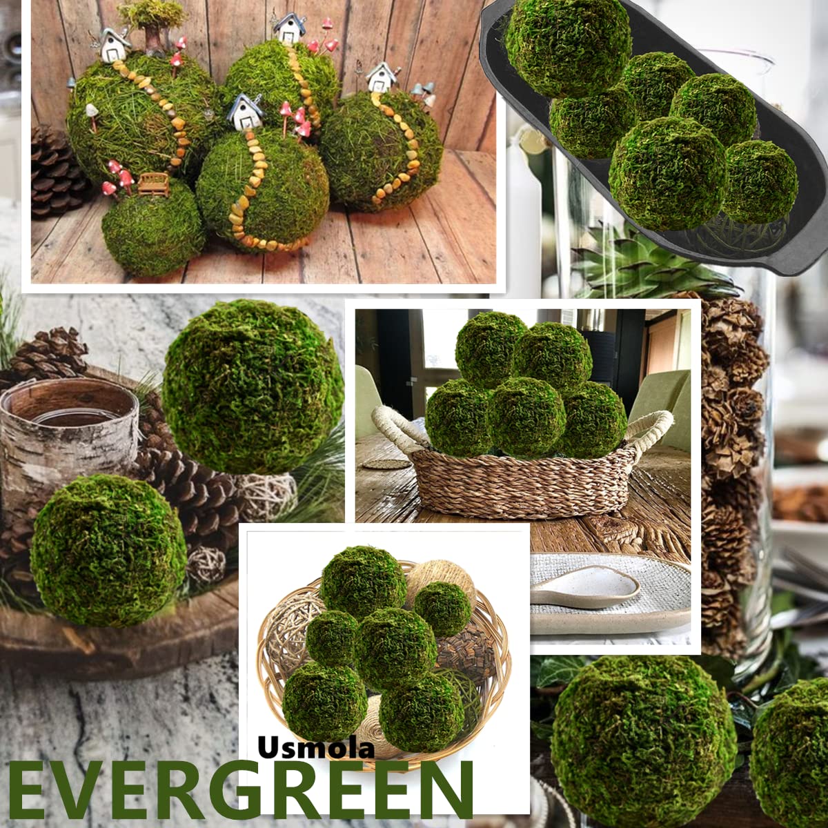 Generic Usmola moss balls ideal for hanging decorative accents