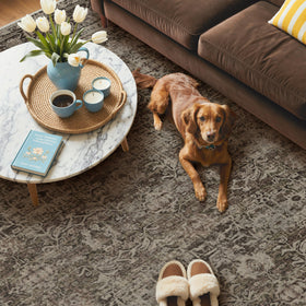 GENIMO 8x10 rug anchors dining or living areas with warm ambience