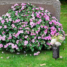 Geosar lawn grave decor for yard and cemetery ceremonies.