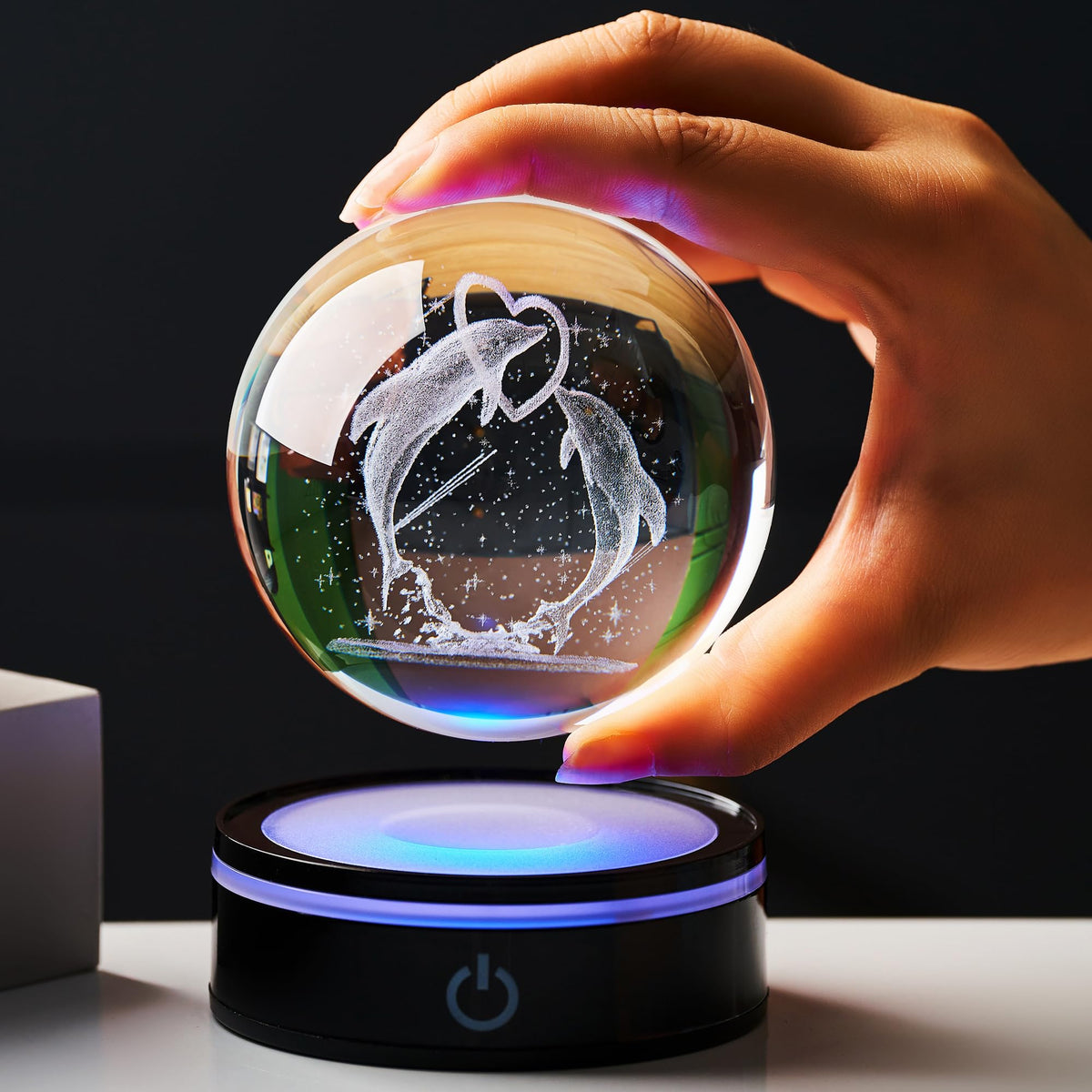 Ghtixsu dolphin decor elevates office desk ambience