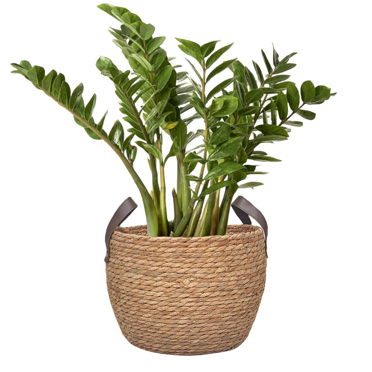 GIB 11-inch round wicker basket offers compact storage in small spaces.