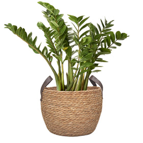 GIB 11-inch round wicker basket offers compact storage in small spaces.