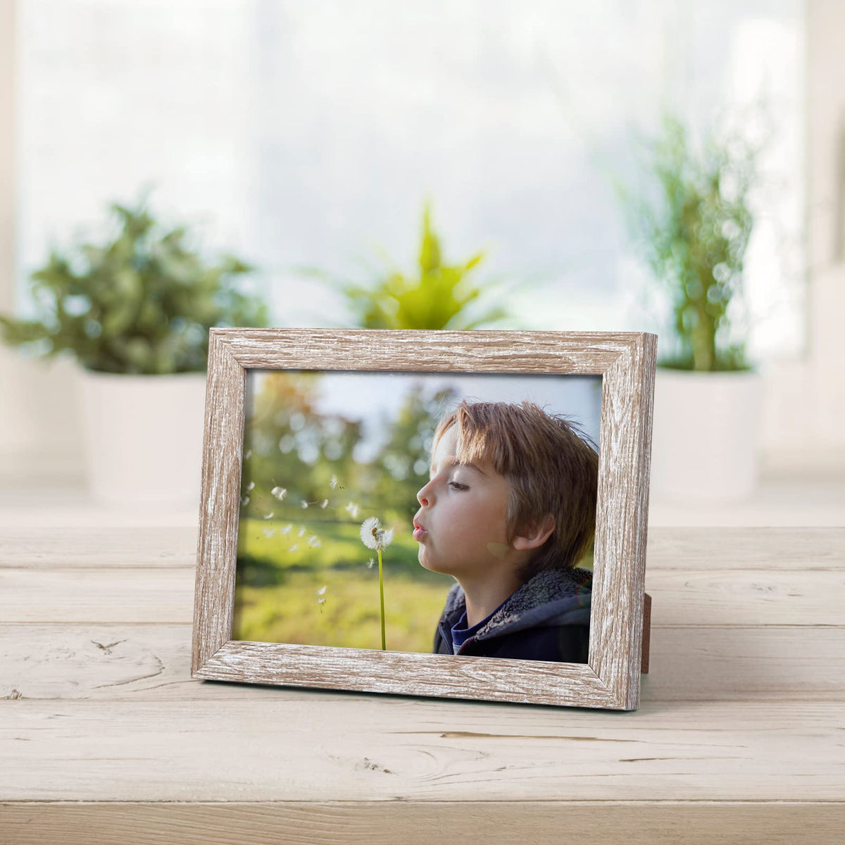 Giftgarden bulk 12-pack enables cohesive wall collage and coordinated tables