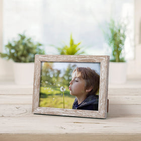 Giftgarden bulk 12-pack enables cohesive wall collage and coordinated tables
