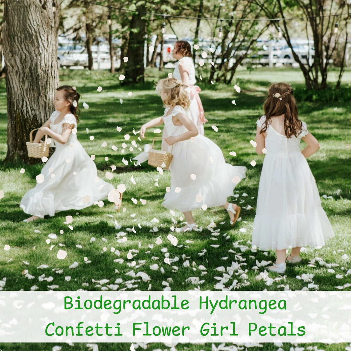 Gifugi ivory petals line aisles with understated elegance and subtle bloom tones.