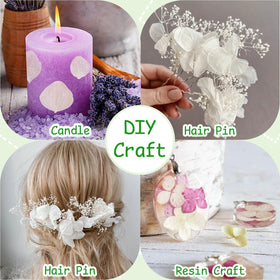 Gifugi petals for aisle decorations and romantic ceremony visuals
