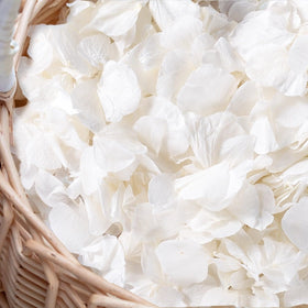 Gifugi ivory white dried hydrangea petals for elegant wedding confetti and table accents