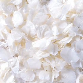 Gifugi ivory white hydrangea petals pack enhances weddings with timeless, soft aisle decor.