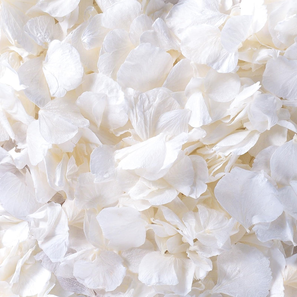 Gifugi ivory white hydrangea petals pack enhances weddings with timeless, soft aisle decor.