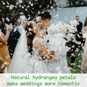 Gifugi ivory petals create soft, romantic ambiance in photos and events