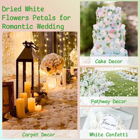 Gifugi petals create soft shower decor that feels romantic and photo-friendly.