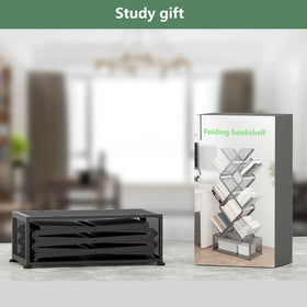 Gintan black finish complements modern interiors and highlights displayed items