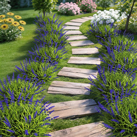 Gipsot lavender lines garden pathways for welcoming scenery.