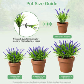Gipsot zero-maintenance greenery requires no watering or pruning.