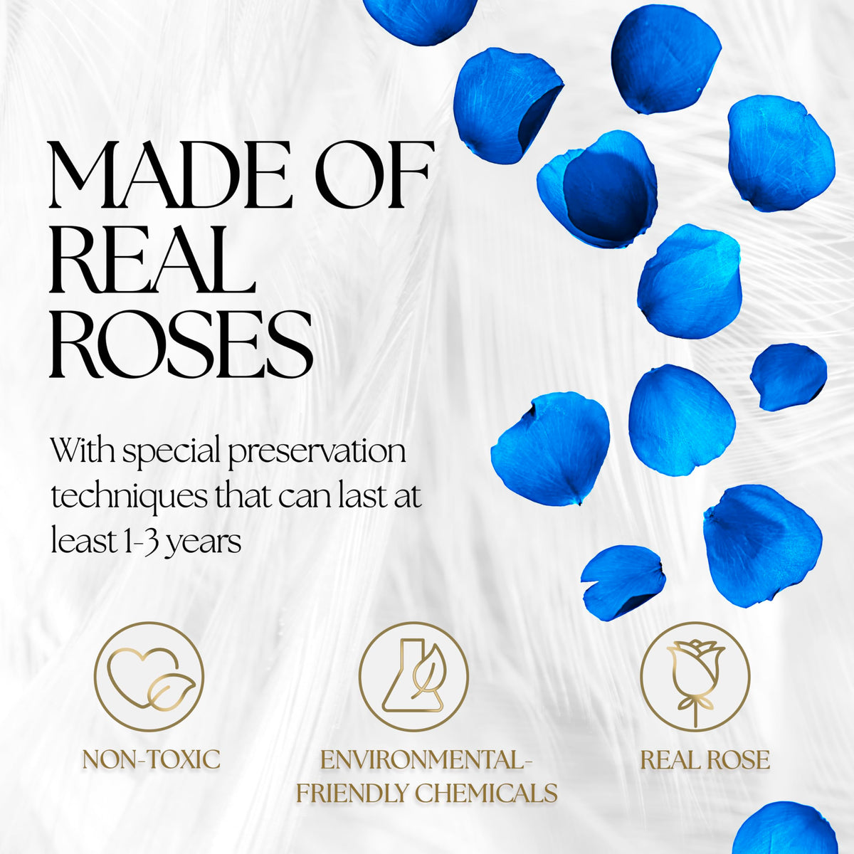 GLAMOUR BOUTIQUE preserved blue roses in box ready for gifting.