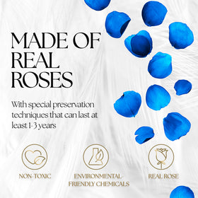 GLAMOUR BOUTIQUE preserved blue roses in box ready for gifting.