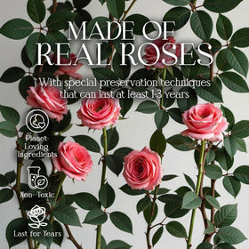 Glamour Boutique gift-ready pink roses in a premium keepsake box.