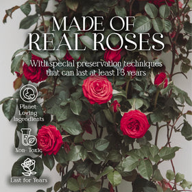 GLAMOUR BOUTIQUE forever rose blue in box demonstrates versatile color options for home decor.
