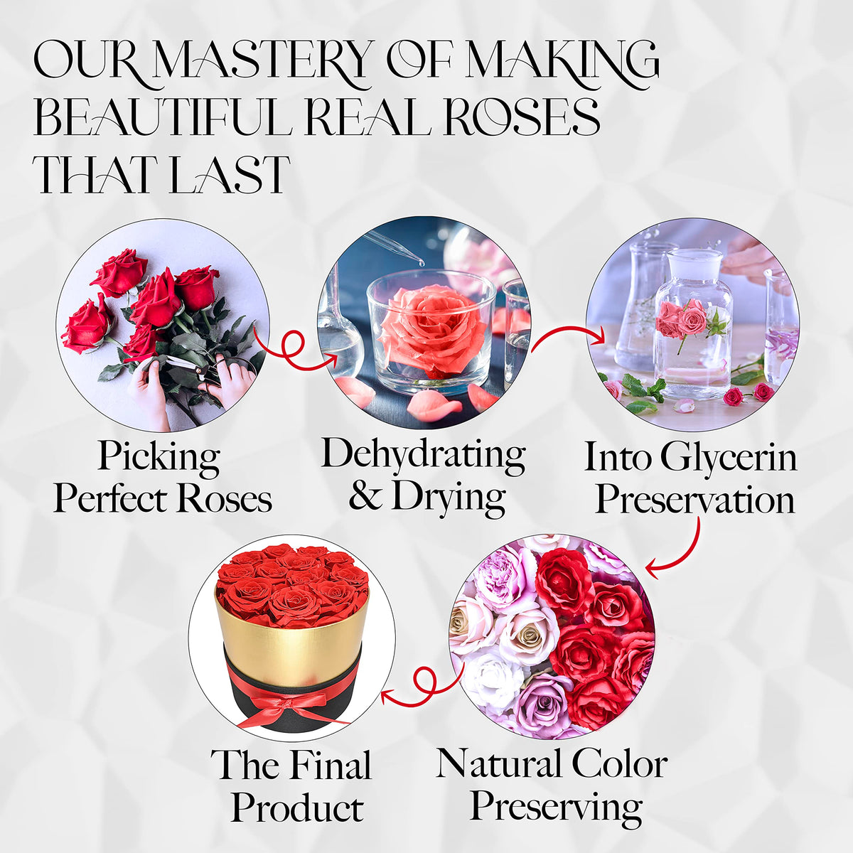 GLAMOUR BOUTIQUE gift-ready preserved roses in a keepsake box.