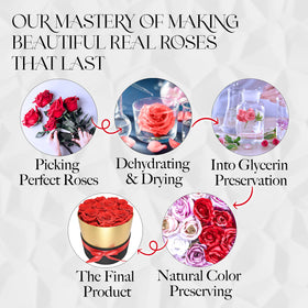 GLAMOUR BOUTIQUE gift-ready preserved roses in a keepsake box.