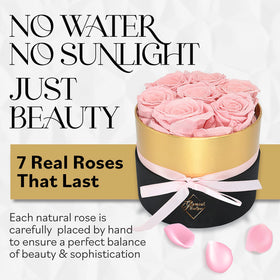 GLAMOUR BOUTIQUE hexagon display box — sophisticated Valentine decor