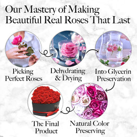 GLAMOUR BOUTIQUE home decor centerpiece with 16 roses, sustained beauty
