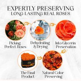 GLAMOUR BOUTIQUE precise 16-rose arrangement shown.