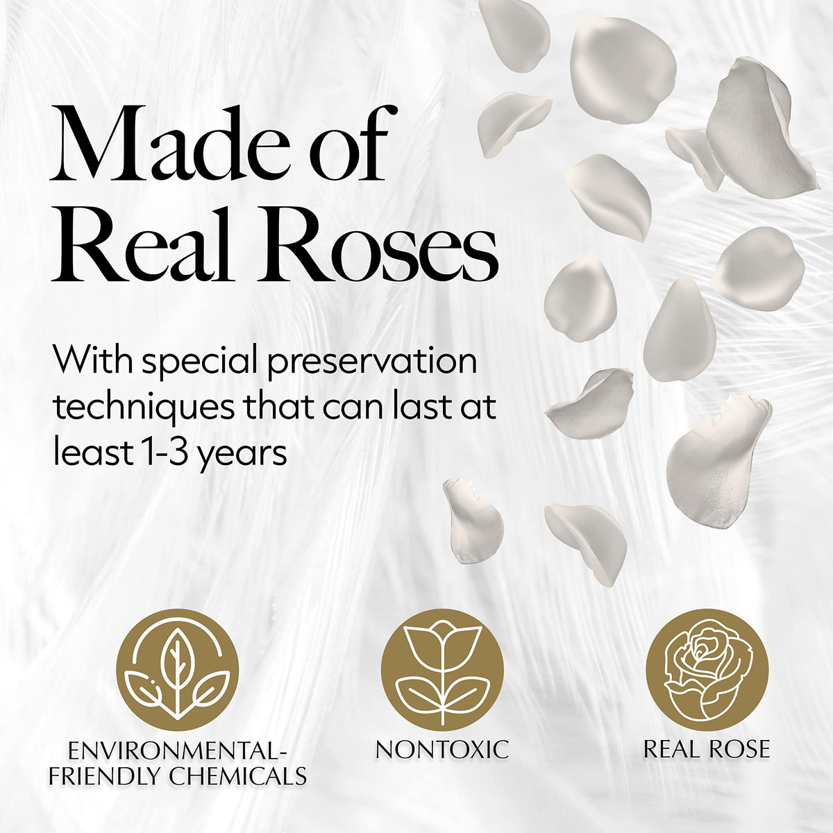 GLAMOUR BOUTIQUE preserved rose bouquet closeup showing natural petals and longevity