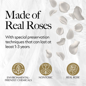 GLAMOUR BOUTIQUE preserved rose bouquet closeup showing natural petals and longevity