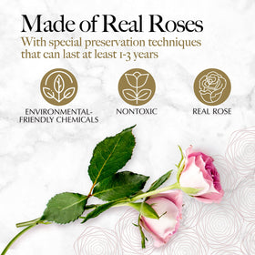 GLAMOUR BOUTIQUE preserved-rose close-up red bouquet for durable beauty