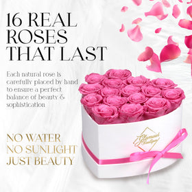 Close-up of pink preserved roses showing natural texture and long-lasting beauty.