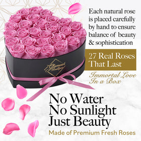 GLAMOUR BOUTIQUE preserved roses closeup highlights enduring beauty.