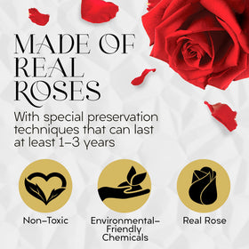 GLAMOUR BOUTIQUE preserved purple roses in a color-treated box for bold style.