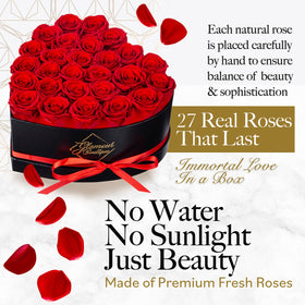 GLAMOUR BOUTIQUE preserved roses red closeup reveals vibrant, long-lasting petals.