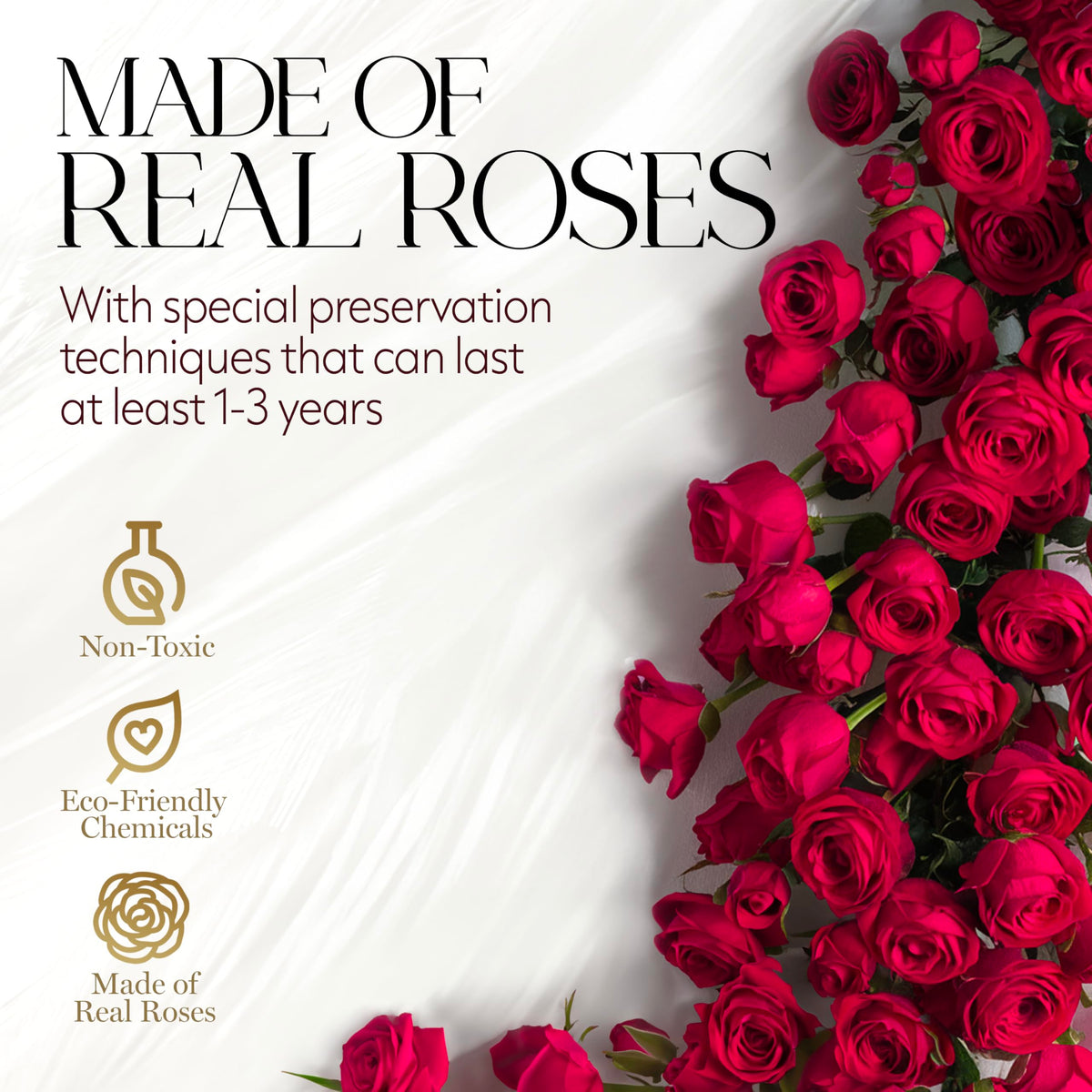 GLAMOUR BOUTIQUE 12 preserved roses last 1 to 3 years as a keepsake.