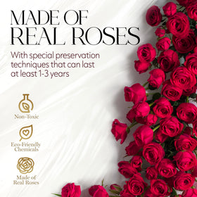 GLAMOUR BOUTIQUE 12 preserved roses last 1 to 3 years as a keepsake.