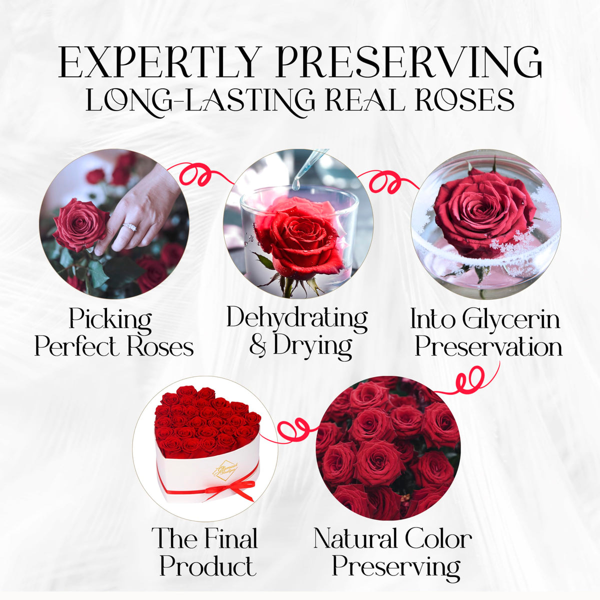 GLAMOUR BOUTIQUE closeup of red roses in white box highlighting luxury packaging