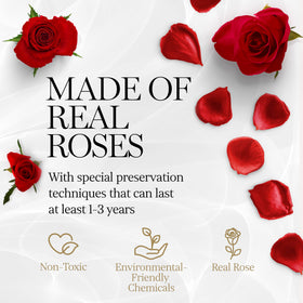 GLAMOUR BOUTIQUE red rose heart box displays vibrant color for celebrations