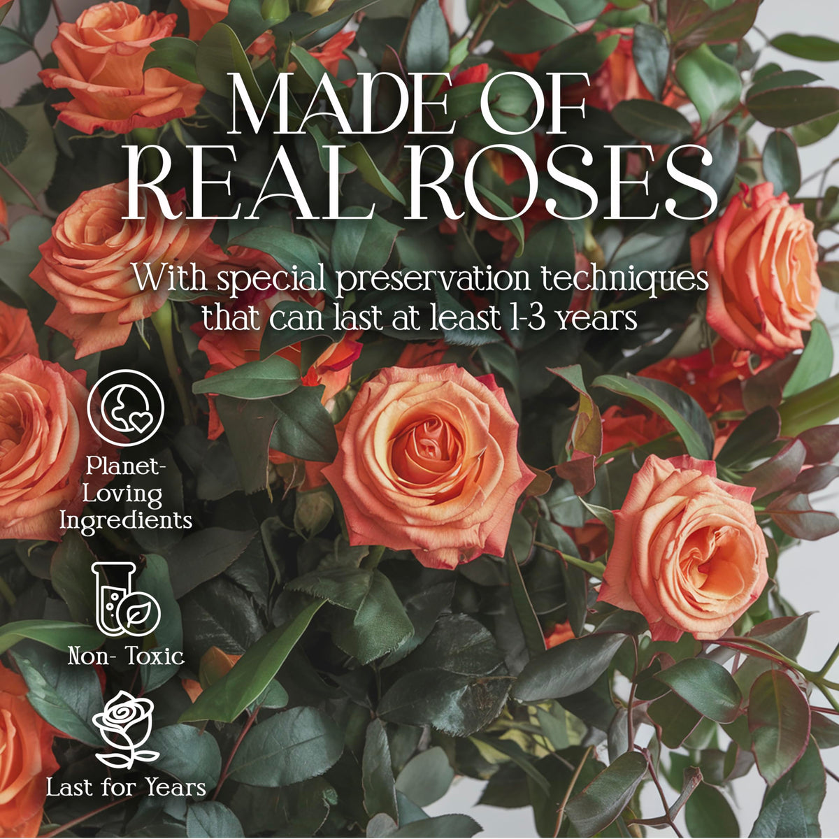 GLAMOUR BOUTIQUE rose bouquet 16 roses orange demonstrates elegant centerpiece.