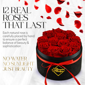 GLAMOUR BOUTIQUE 12 preserved roses in velvet black heart box showcase timeless beauty.