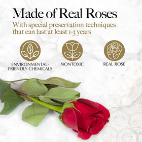 GLAMOUR BOUTIQUE rose in box presentation serves as a striking centerpiece.