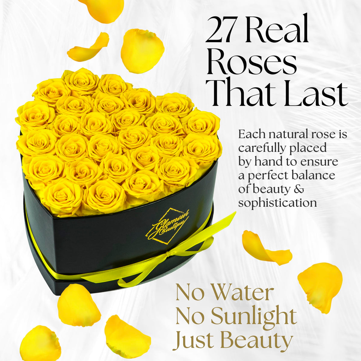 GLAMOUR BOUTIQUE rose petal closeup reveals rich texture and preserved bloom quality.