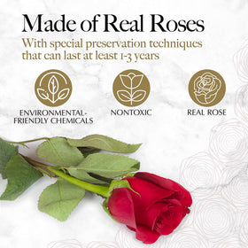 GLAMOUR BOUTIQUE preserved rose package open, vibrant colors with no watering needed