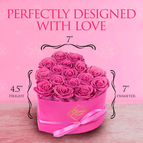 GLAMOUR BOUTIQUE velvet-pink rose bloom detail showing texture and vibrancy