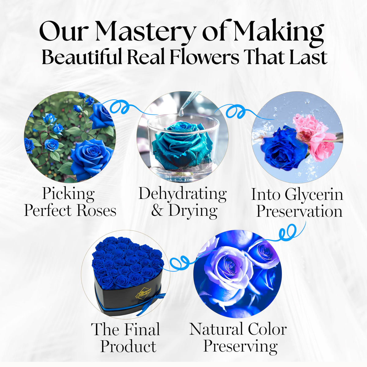 GLAMOUR BOUTIQUE vibrant blue roses in box for anniversaries.